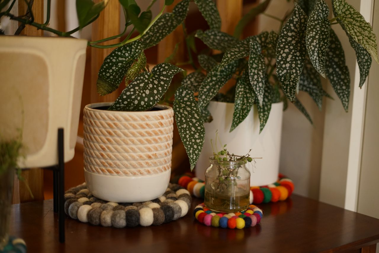 Felted Wool Trivet – Handmade Wool Pot Mat